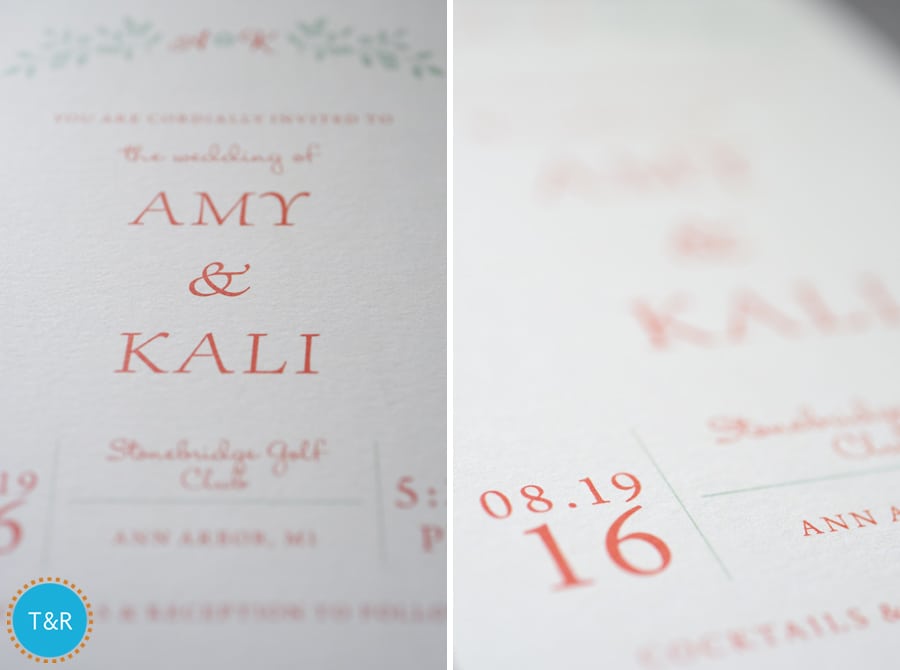 Ann Arbor Photographer