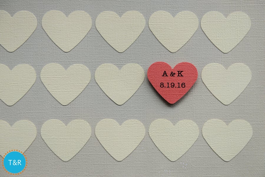 Ann Arbor Photographer