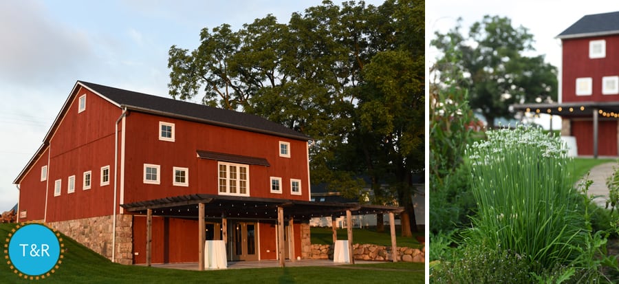 Zingerman’s Cornman Farms Wedding