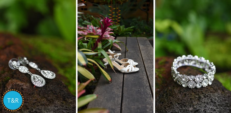 Ann Arbor Wedding