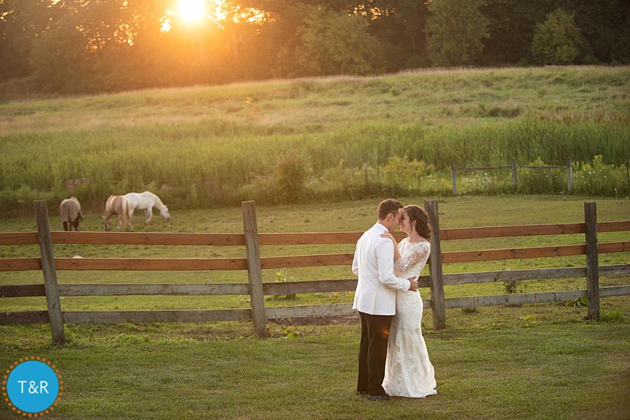 Bride and groom embrace at sunset at Frutig Farms Misty Farm during their Ann Arbor wedding reception with horses grazing in the field
