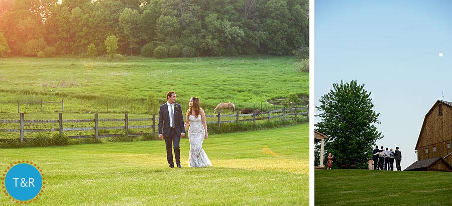 Bride and groom take a walk outside while horses graze at their Frutig Farms Misty Farm wedding reception